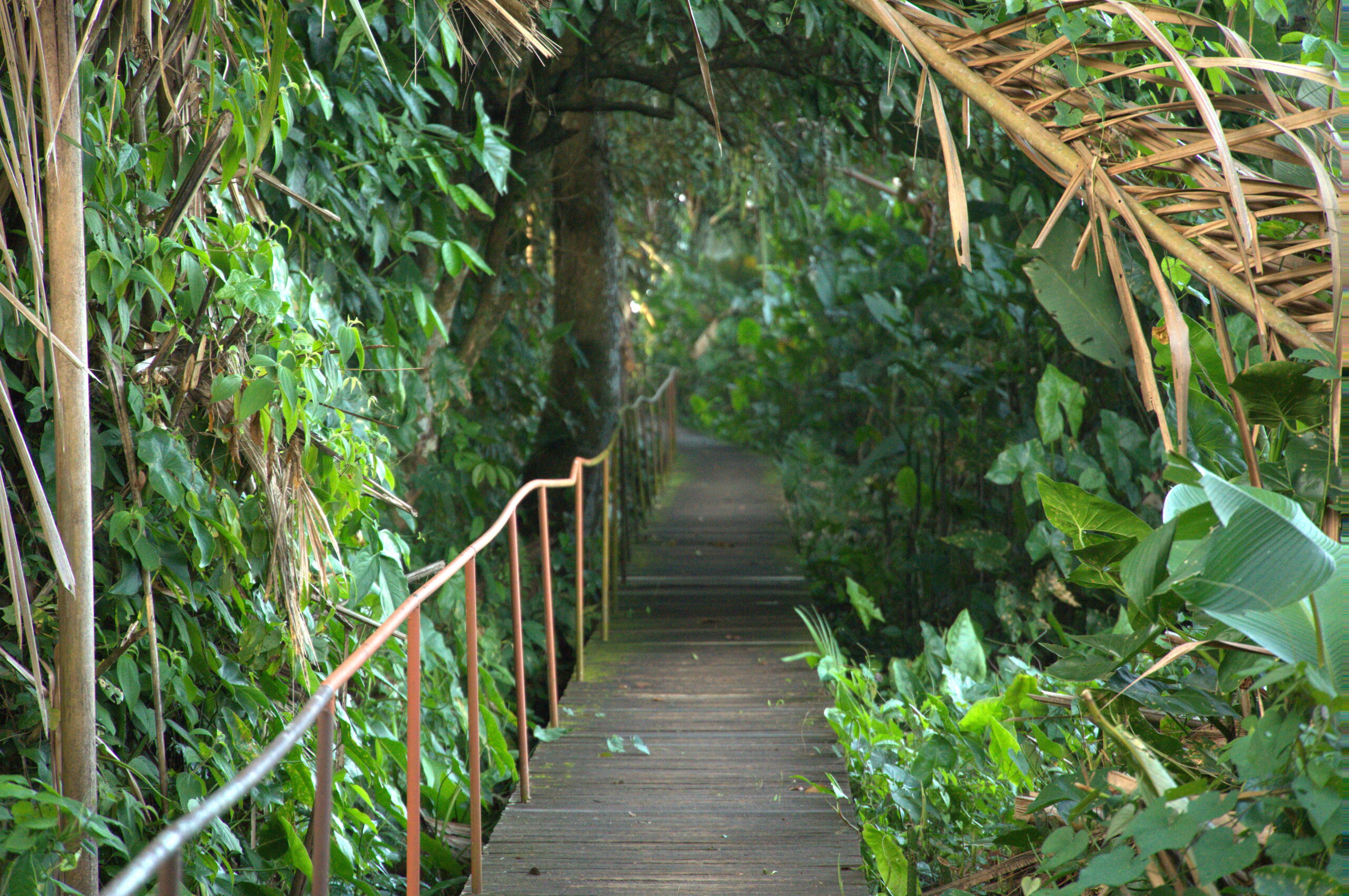 What I Would Change About My 2-Week Costa Rica Road Trip