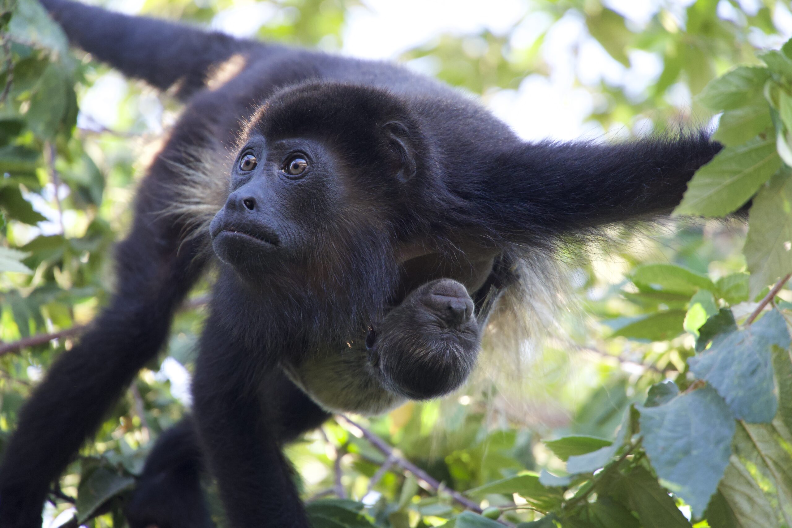 Planning My 2-Week Costa Rica Road Trip: Route, Car Rental and Itinerary