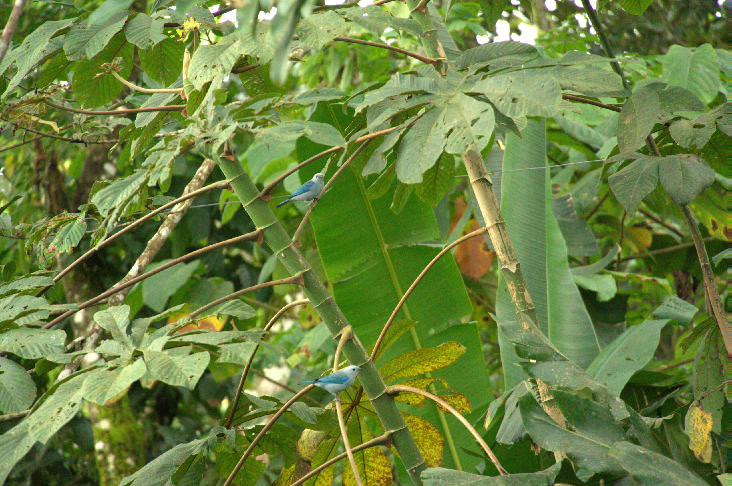 DSC01205